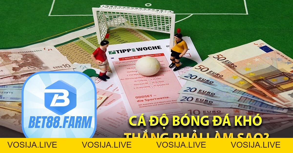 Vì sao cá độ bóng đá luôn thua? BET88 Chỉ ra Nguyên nhân, cách khắc phục - bet88.farm - vosija