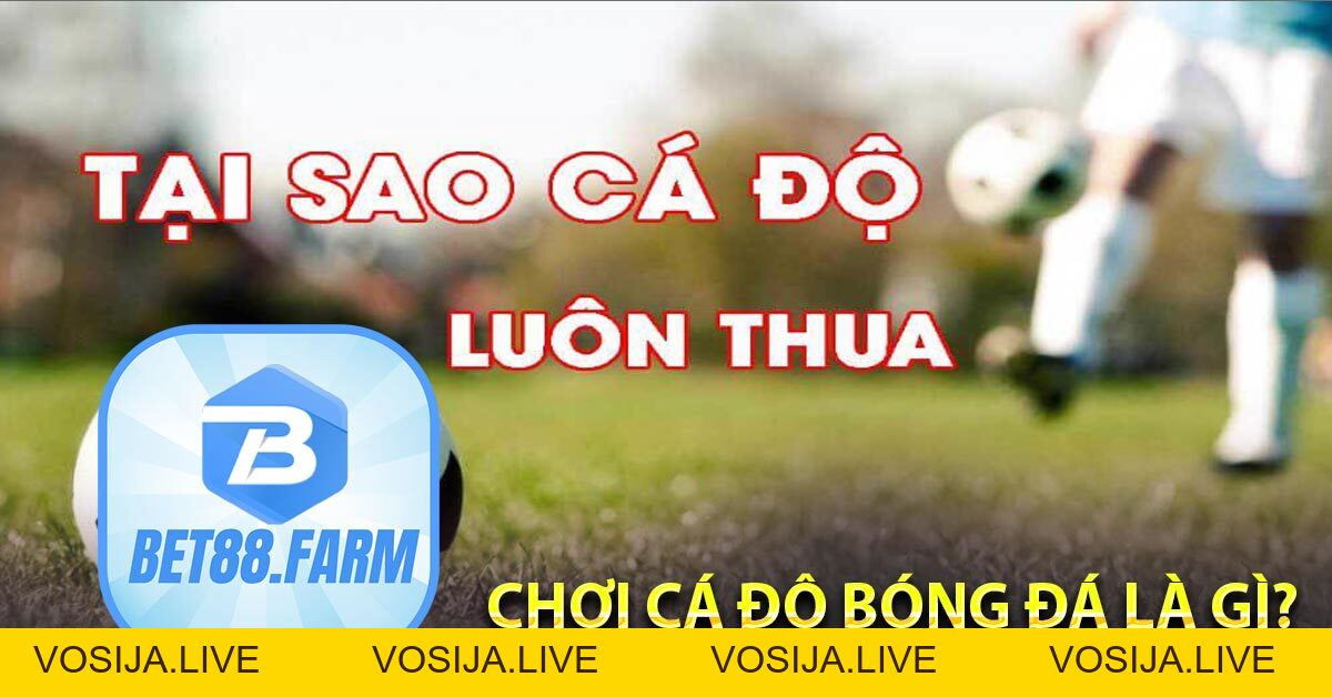 Vì sao cá độ bóng đá luôn thua? BET88 Chỉ ra Nguyên nhân, cách khắc phục - bet88.farm - vosija
