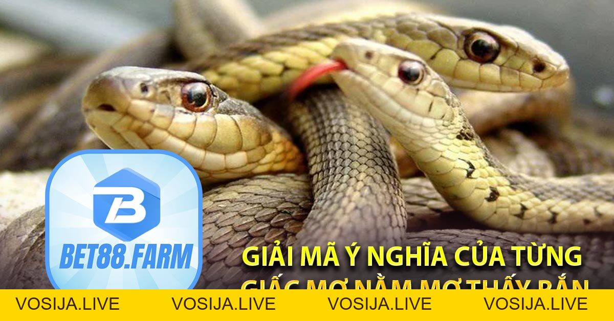 Giải mã giấc mơ BET88, nằm mơ thấy rắn may mắn vào tay - bet88.farm - vosija