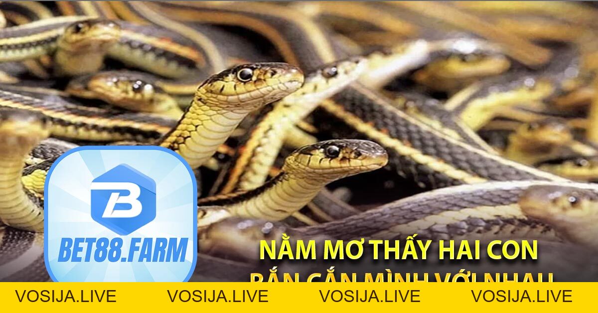 Giải mã giấc mơ BET88, nằm mơ thấy rắn may mắn vào tay - bet88.farm - vosija