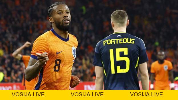 Hà Lan 4-0 Scotland: Đội bóng của Steve Clarke nhận cảnh báo Euro 2026 thua nặng nề - bet88.farm - vosija
