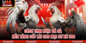 Tin Tức U888 ⭐ Bí Quyết & Chiến Thuật Cá Cược Đỉnh Cao 2026 - vosija