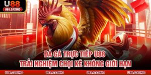Tin Tức U888 ⭐ Bí Quyết & Chiến Thuật Cá Cược Đỉnh Cao 2026 - vosija