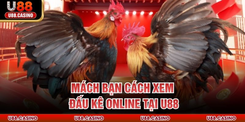 Đá Gà Trực Tiếp U88 - Trải Nghiệm Chọi Kê Không Giới Hạn - vosija