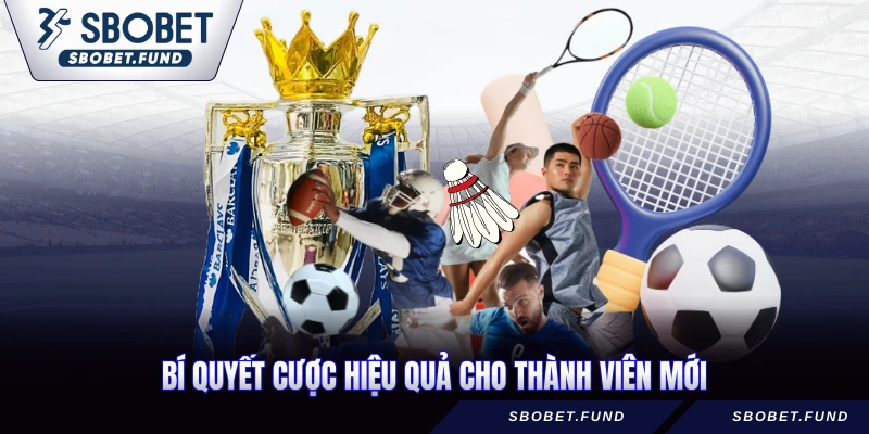 Cầu Lông Ảo - Hướng Dẫn Đặt Cược Hiệu Quả 2026 - vosija
