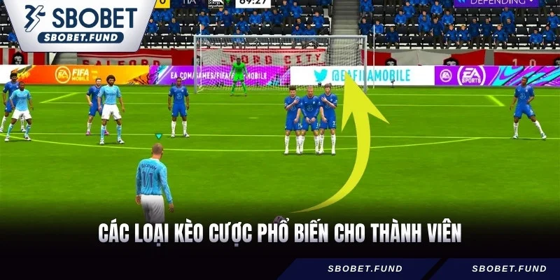 Giải Bóng Đá Ảo - Hướng Dẫn Cược Hiệu Quả 2026 - vosija