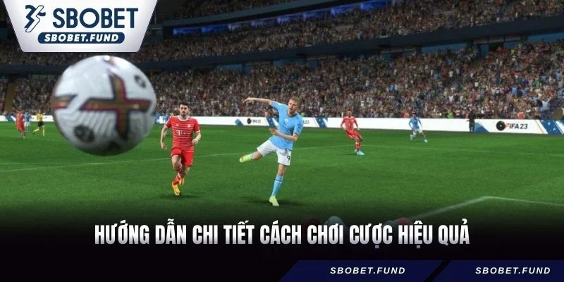 Bóng Đá Ảo - Khám Phá Sân Chơi Hấp Dẫn Nhất 2026 - vosija