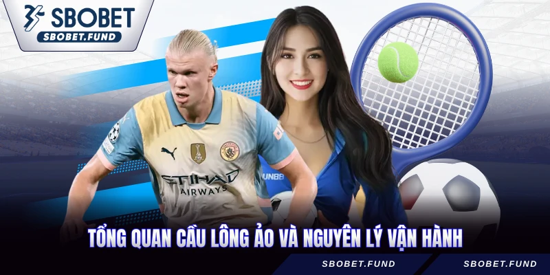 Cầu Lông Ảo - Hướng Dẫn Đặt Cược Hiệu Quả 2026 - vosija