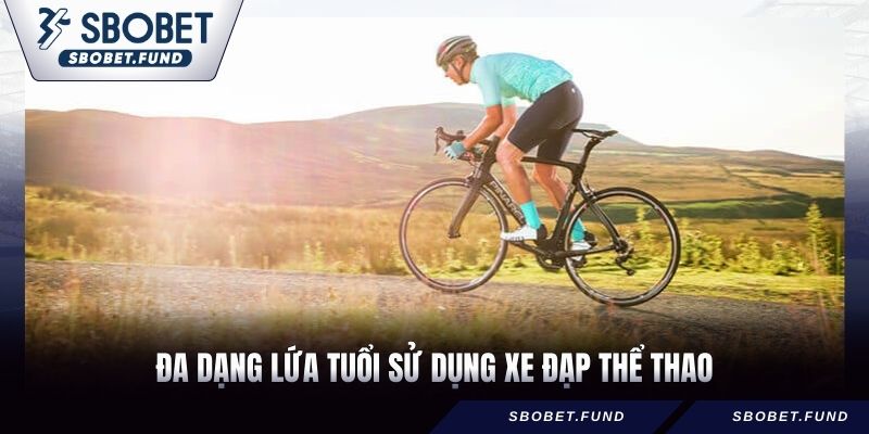 Xe Đạp Thể Thao - Cách Chọn Và Các Dòng Xe “Hot” Nhất 2026 - vosija