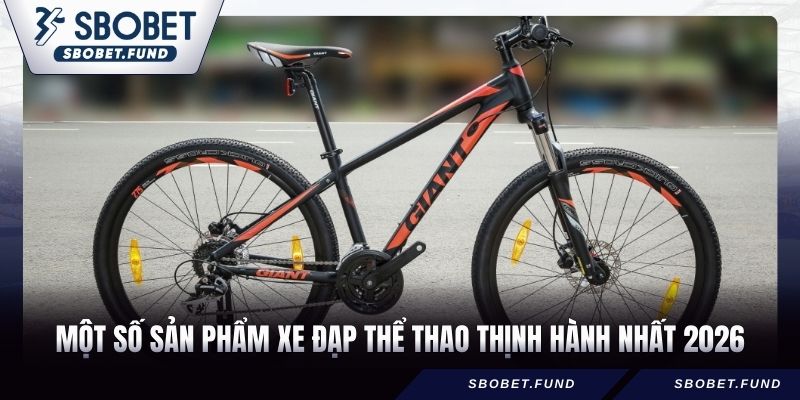 Xe Đạp Thể Thao - Cách Chọn Và Các Dòng Xe “Hot” Nhất 2026 - vosija