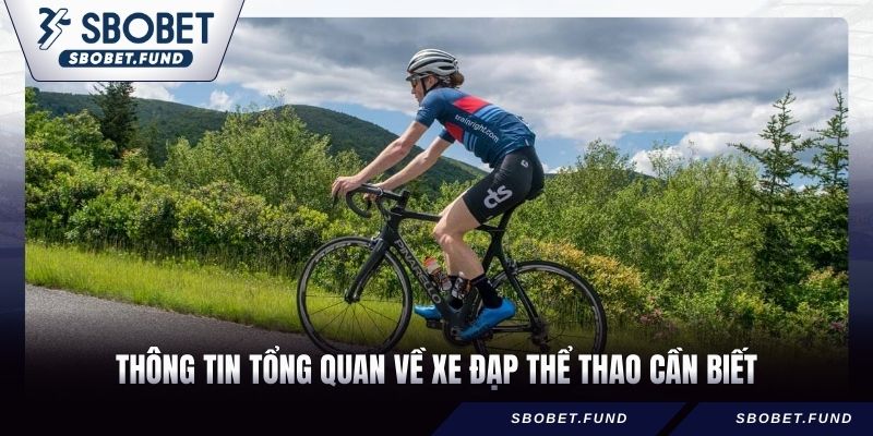 Xe Đạp Thể Thao - Cách Chọn Và Các Dòng Xe “Hot” Nhất 2026 - vosija