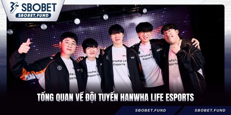 Hanwha Life Esports – Khẳng Định Vị Thế Tại Đấu Trường LCK - vosija