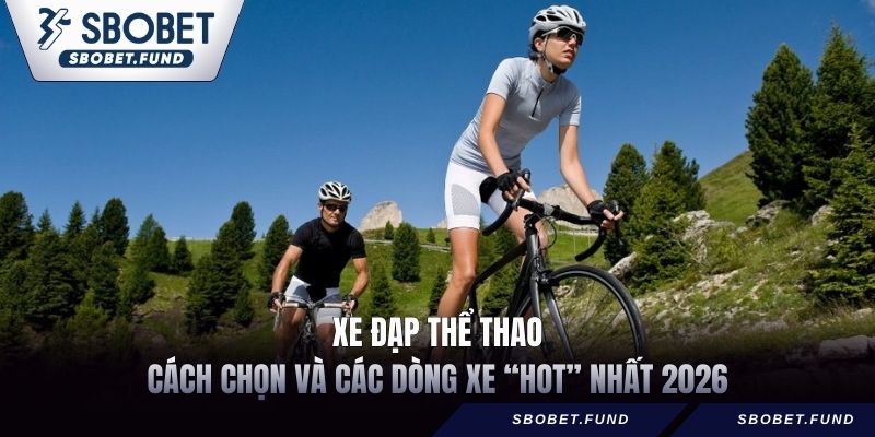 Xe Đạp Thể Thao - Cách Chọn Và Các Dòng Xe “Hot” Nhất 2026 - vosija